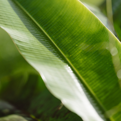 Réduire notre impact écologique